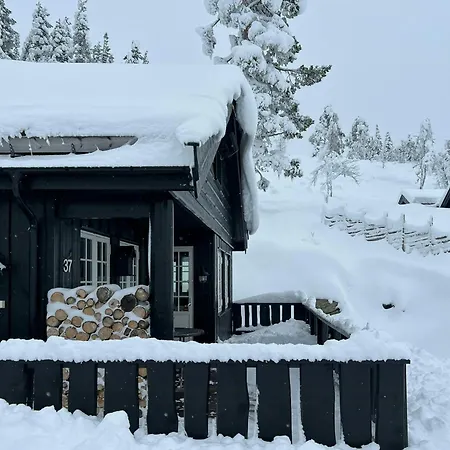 Mountain With Views Over Nesfjellet Ferienhaus *