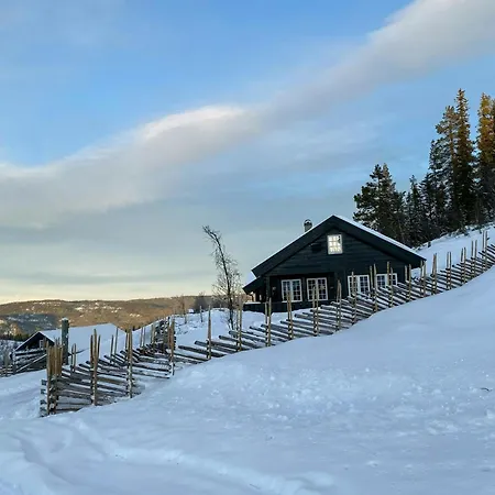 Mountain With Views Over Nesfjellet