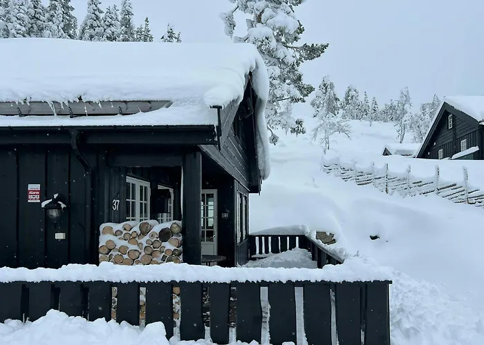 Mountain With Views Over Nesfjellet Ferienhaus *