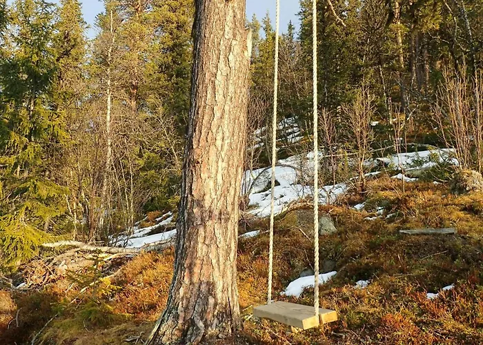 Mountain With Views Over Nesfjellet Nesbyen